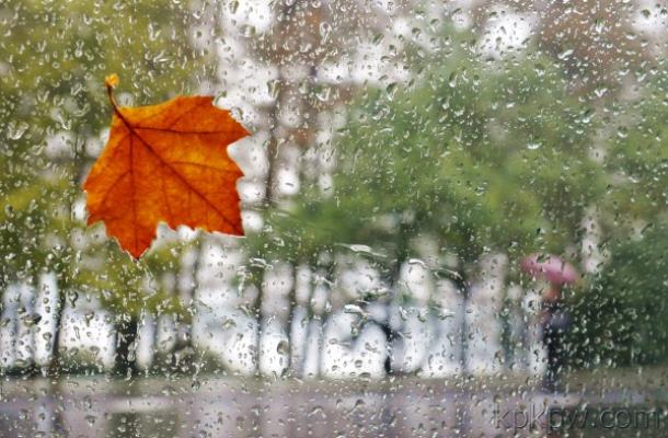 一剪梅 . 秋雨
