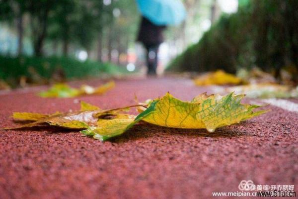 七律：秋涼雜思