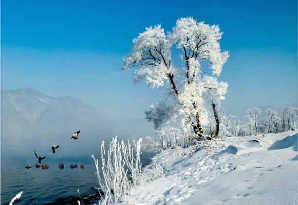 七律：初冬雜緒