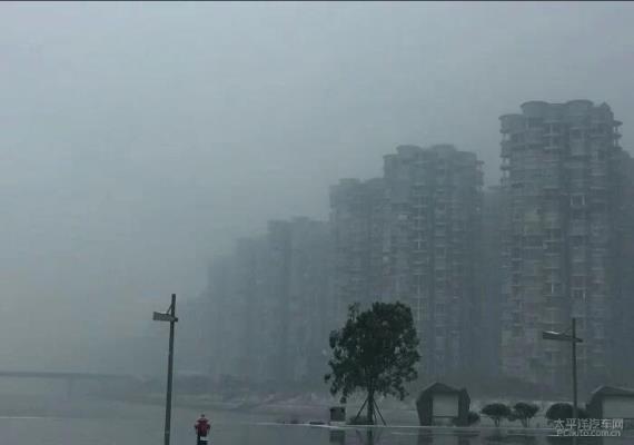 七律：2019第一場雪