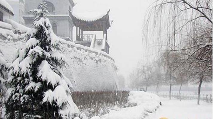 七律：庚子年正月初二大雪