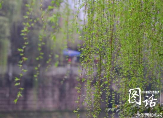 七律：九九最后一天