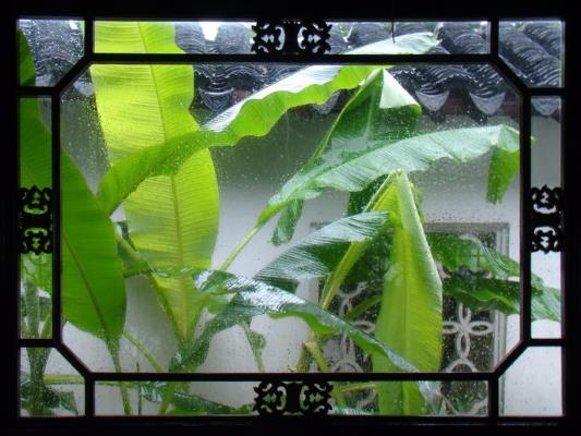 七律：大雨小憩