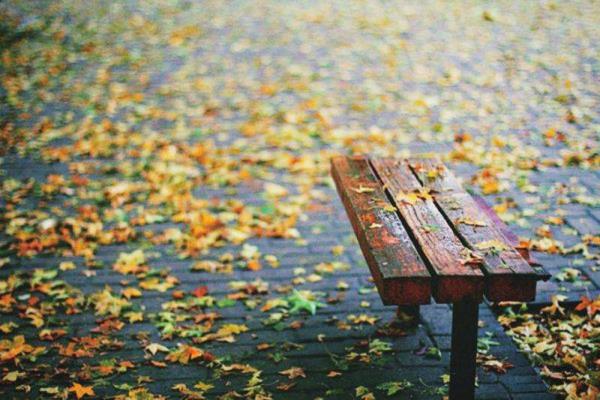 七律：期待一場秋雨