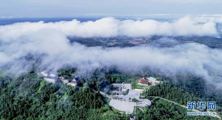 寫在岳父周年忌日