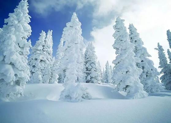 七律：迎春抒懷