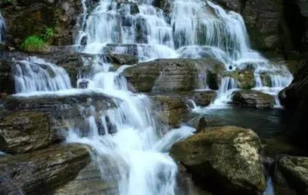 七律：踏青感懷