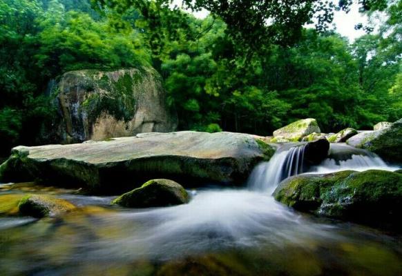 依褚福君先生《山泉》韻奉和