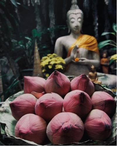 詩友唱和 《詠 蓮》