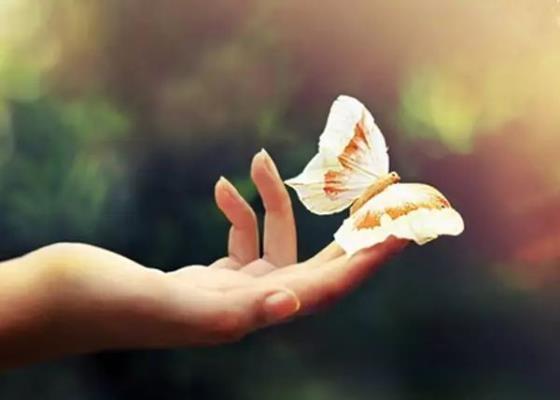 詩友唱和淮上老驥《遠行者》