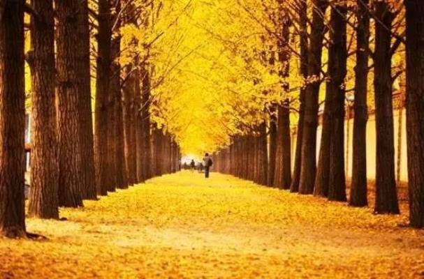 詩友唱和《秋興》