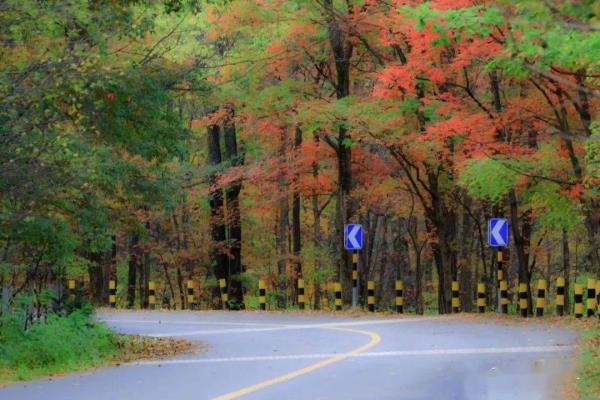 詩友唱和：秋意漸濃