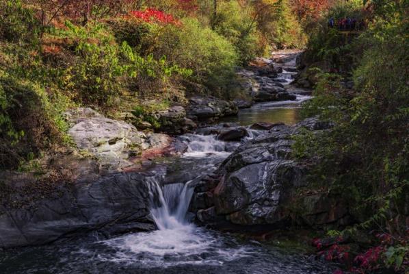詩友唱和陳開廉詩友《憑欄賞秋》