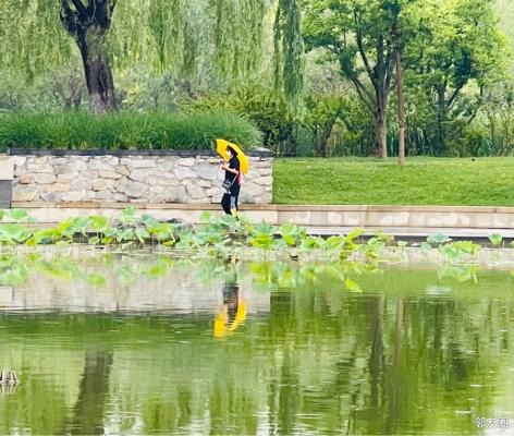 詩友唱和淮上老驥《河邊雨中游》