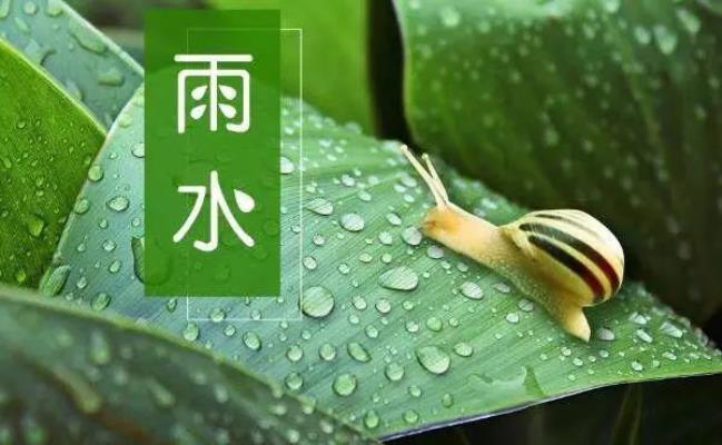 詩(shī)友唱和《雨水季節(jié)盼雨水》    2025第七輯