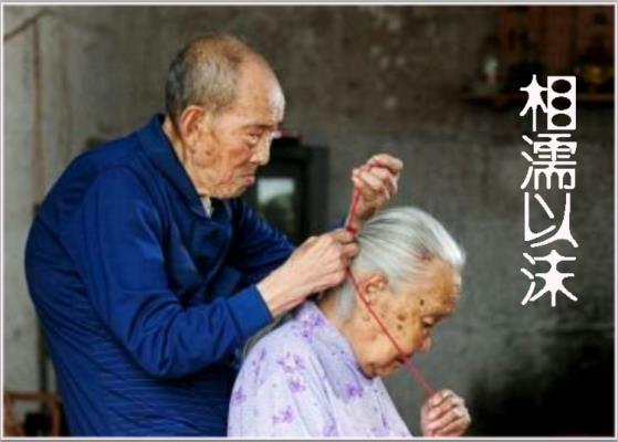 【訴衷情】觀《相濡以沫》照有感