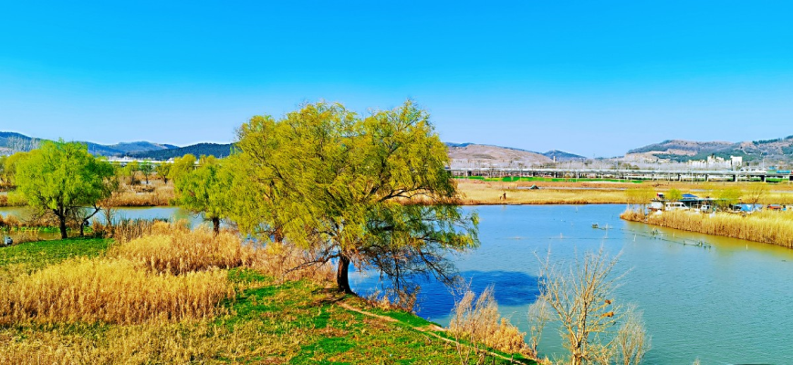 時英武五絕二十首