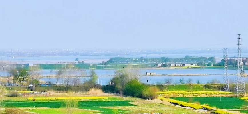 決勝時(shí)刻贊賓陽(yáng)柱石