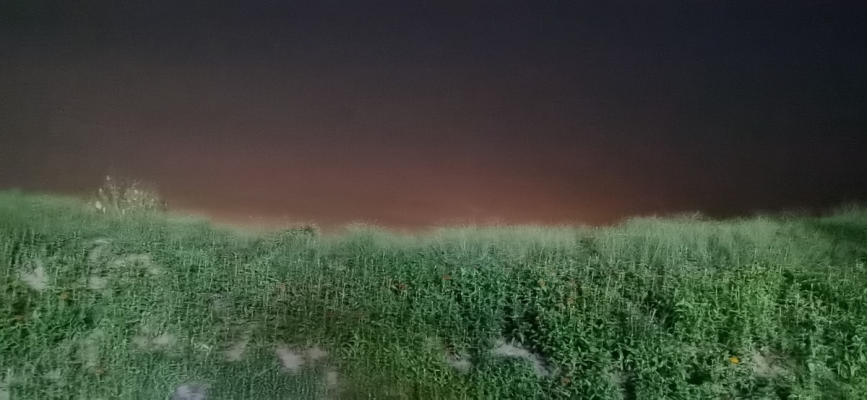 和李恒賢老師  《晚步小趣》