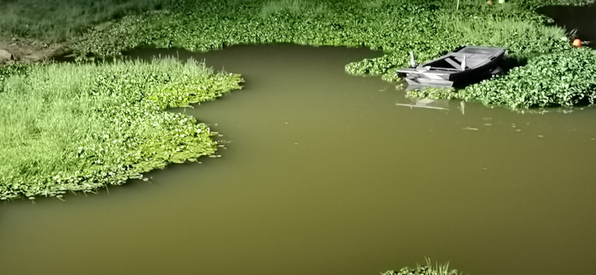 步韻時英武會長《學詩感懷》