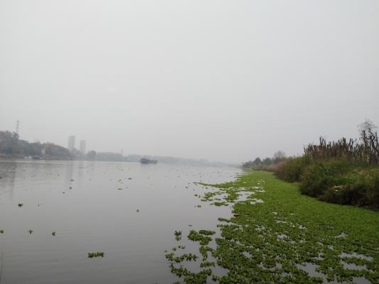 淮水釣翁