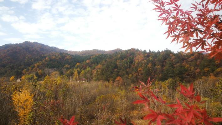 《一路秋色 一路風景》