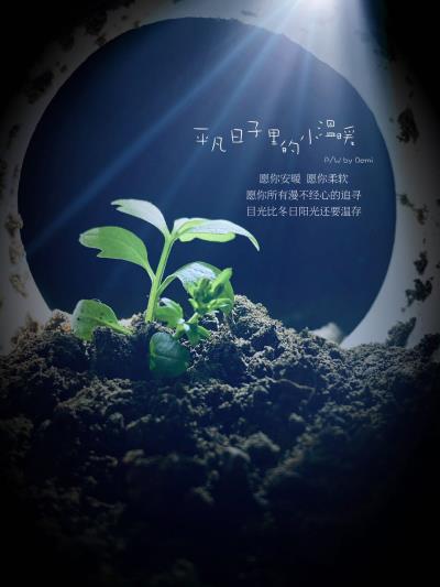 手機(jī)攝影之小草