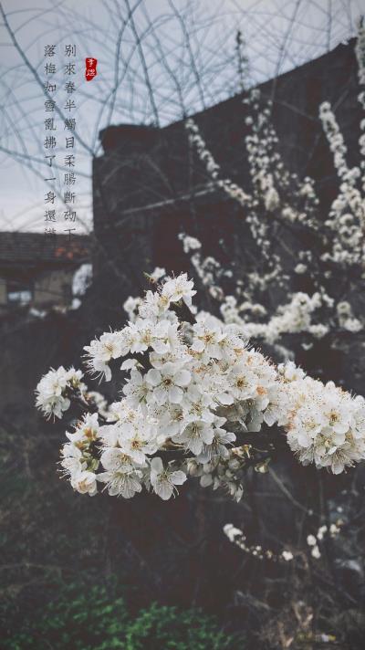 手機(jī)攝影之生活碎片