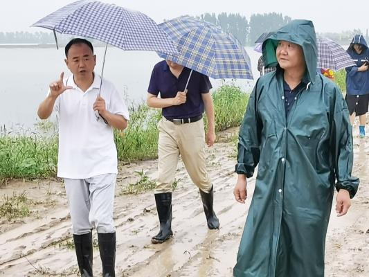 壽縣雙廟集鎮(zhèn)鎮(zhèn)領導冒雨深入抗洪搶險救災第一線