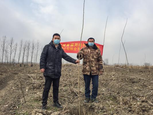 壽縣雙廟集鎮(zhèn)：周崗現(xiàn)灣村民組《崔世松林業(yè)開(kāi)發(fā)合作社》成立