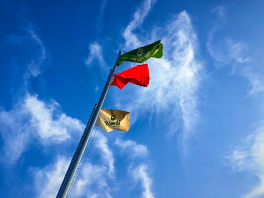 壽縣炎劉鎮(zhèn)《小蘭草》鄉(xiāng)村旅游基地景區(qū)實(shí)拍——萬(wàn)前進(jìn)/攝