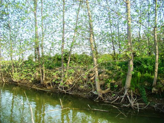 不忘初心、砥礪前行，陶志根回鄉 創辦(志耕生態農莊)之路