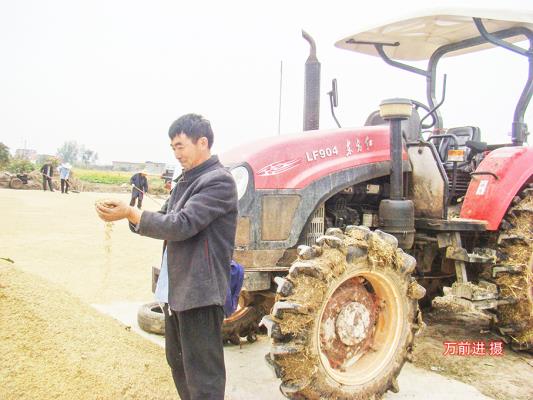 壽縣瓦埠鎮 福軍水稻種植家庭農場負責人獲省鄉村振興高級農藝師稱號