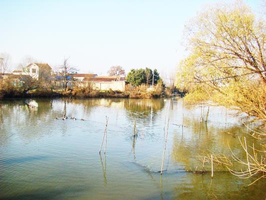 壽縣雙廟集鎮 新農村成為群眾宜業宜居宜樂的幸福家園