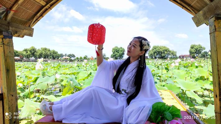 鳳臺(tái)芳華藝術(shù)團(tuán)焦崗湖荷花淀麗人行