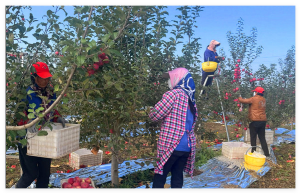 個人小詩：《金秋十月》