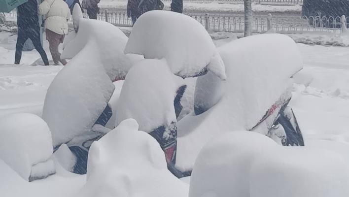 電瓶車雪中賣萌