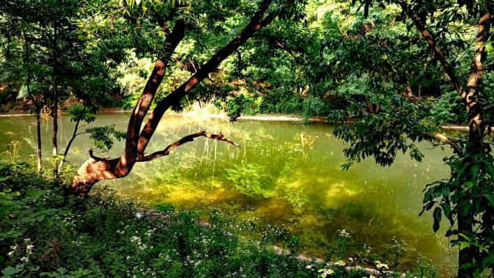 淮南九寨溝~媽媽澗