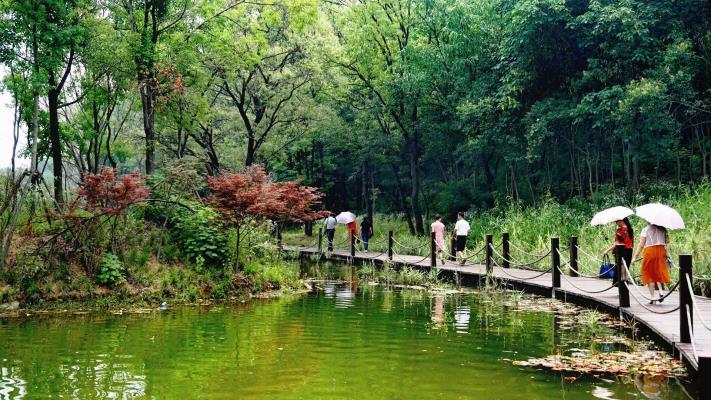 走進大通濕地公園