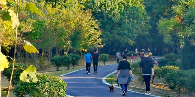 舜耕山下秋意濃