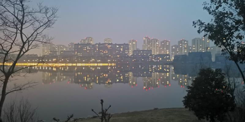 樓房星光燦爛 草坪消失殆盡