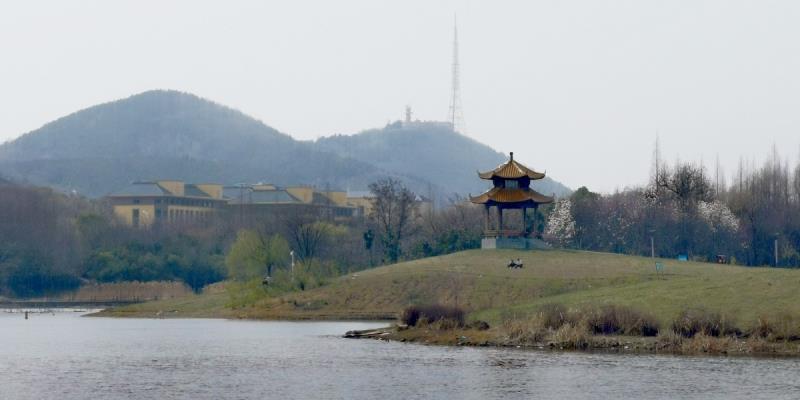 大通濕地公園不在大通