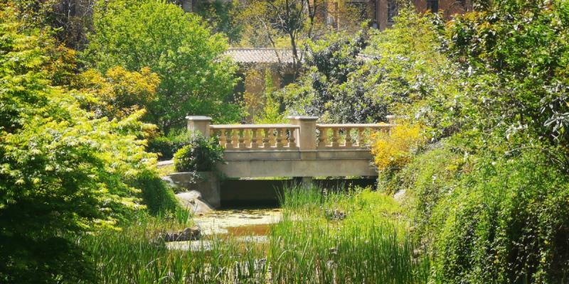 淮南的小區春意盎然