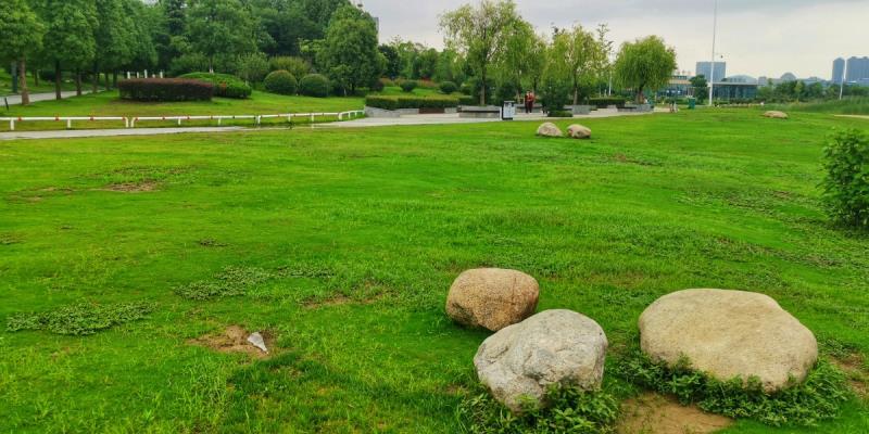 綠色氧吧—中央公園