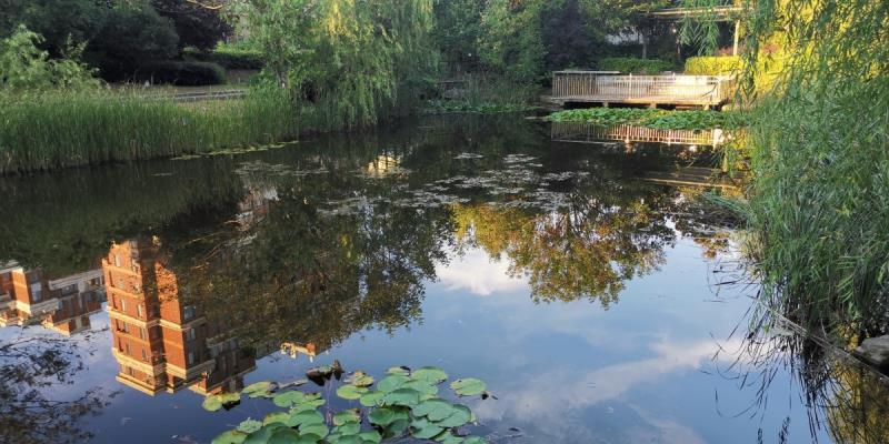 山南印象小區環境