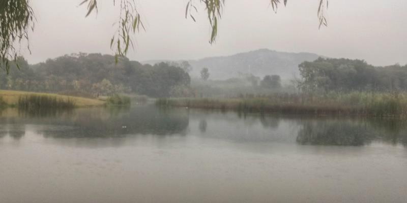 煙雨朦朧大通濕地