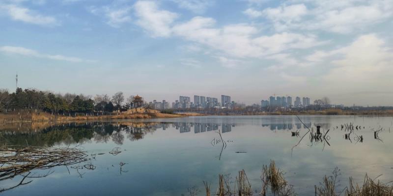 大通濕地冬日美景