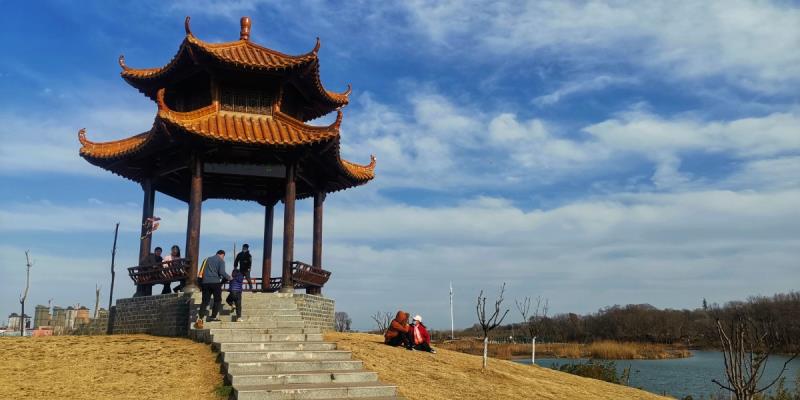 大美大通濕地公園