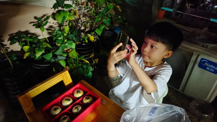 十五的月亮十五圓