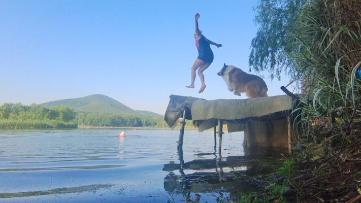 跳水、女人和狗
